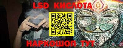 прущие грибы Можайск