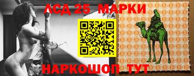 прущие грибы Можайск
