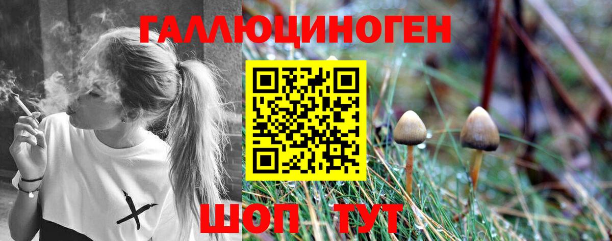 Псилоцибиновые грибы MAGIC MUSHROOMS  Галлюциногенные грибы MAGIC MUSHROOMS  Владимир  Вход с VPN 