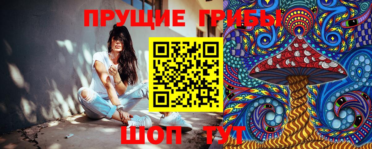 Псилоцибиновые грибы Psilocybe Владимир
